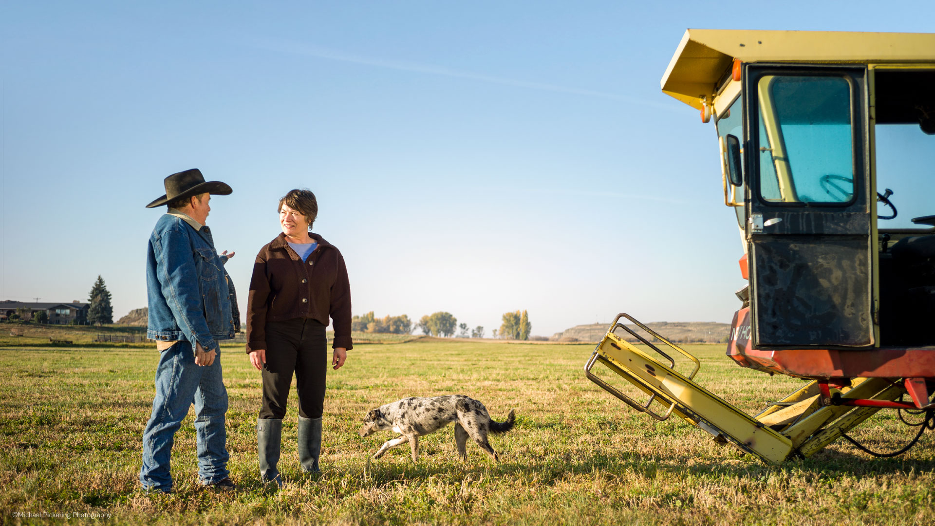 AmericanWest Bank - photography
