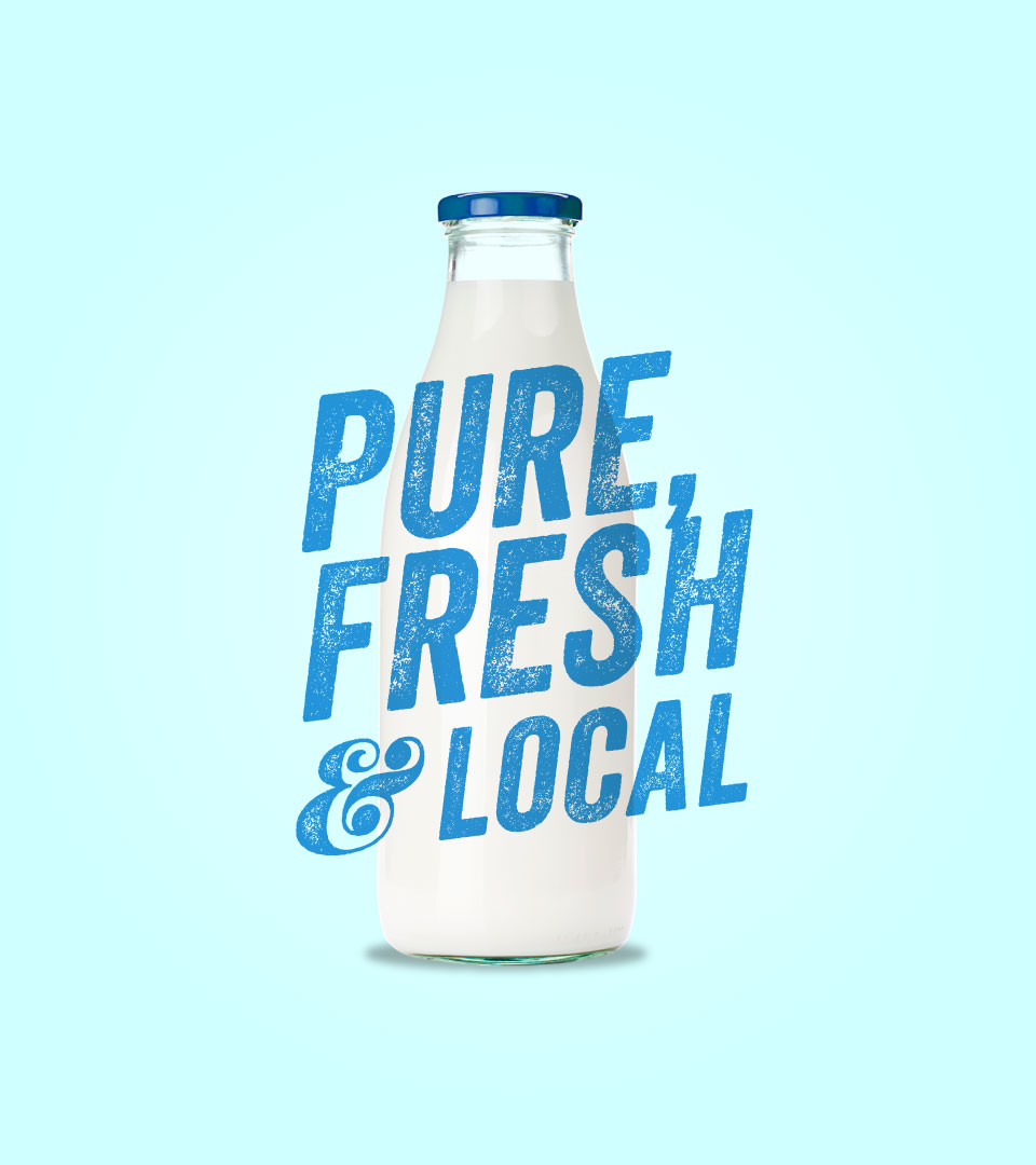 Washington Dairy - print advertisement