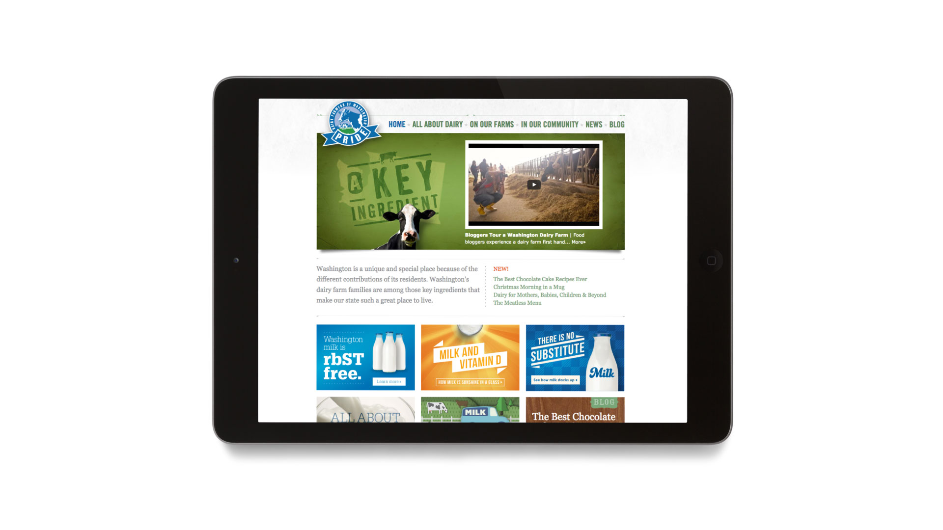 Washington Dairy - web design