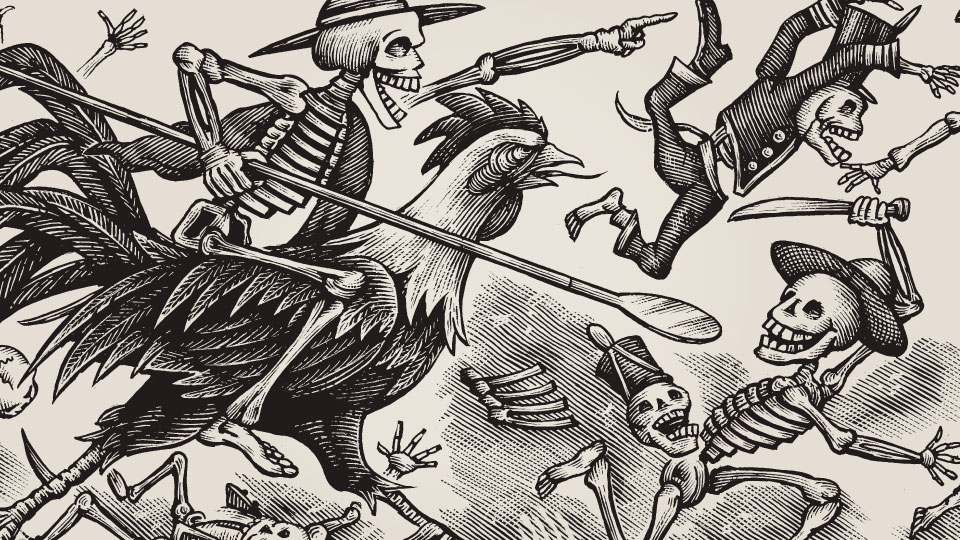 Espolón Tequila - graphic