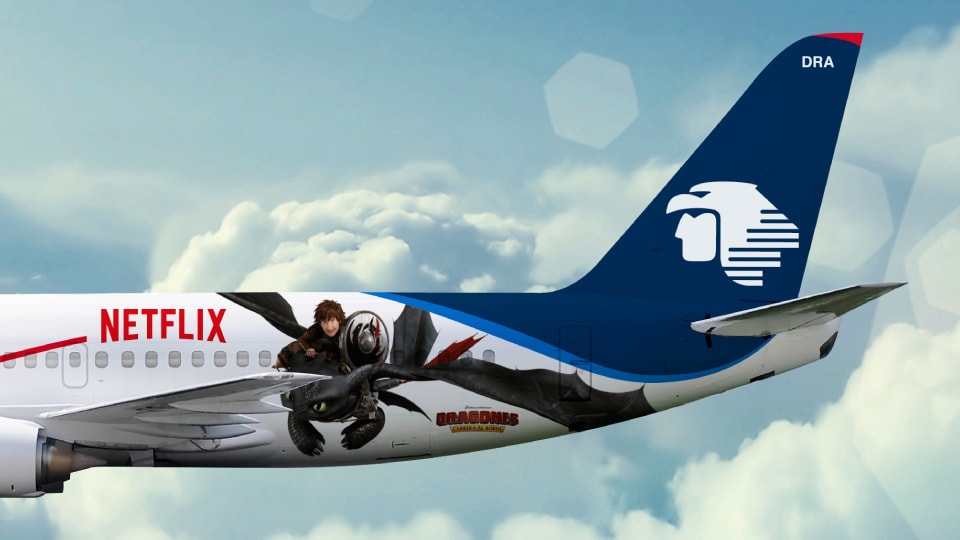 Netflix - plane wrap