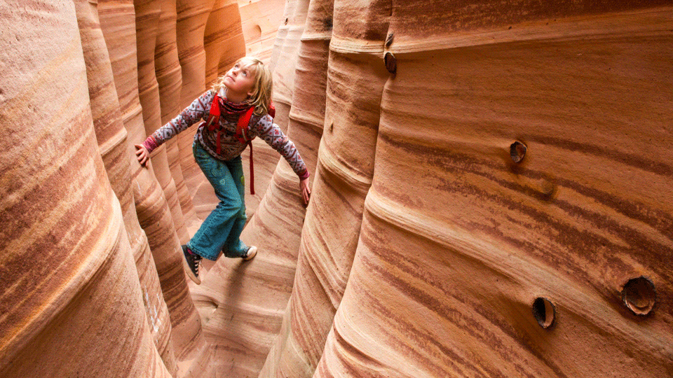 Adobe - background fill demonstration