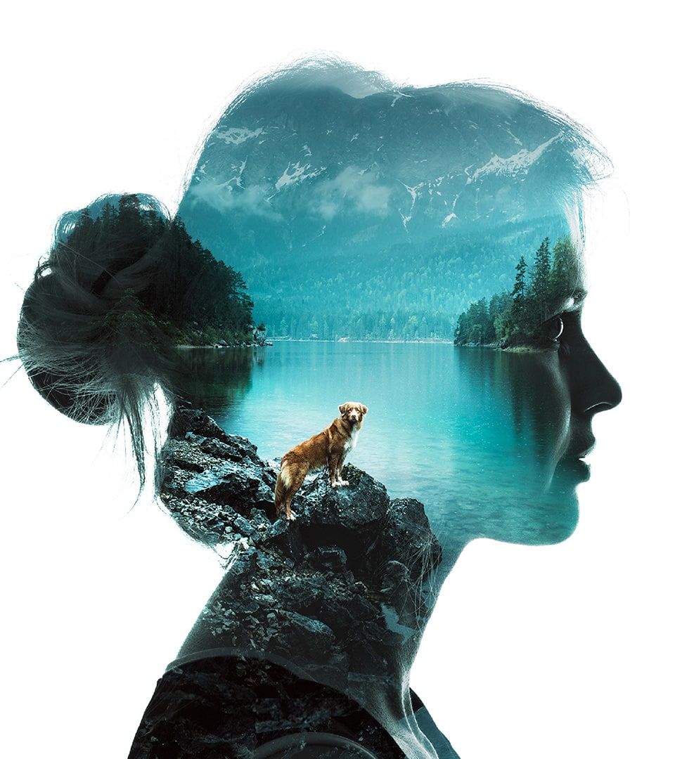 Adobe - photo illustration