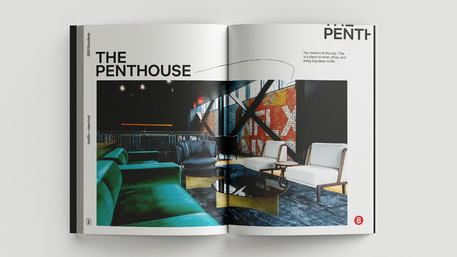 Netflix - The Penthouse